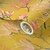 economico Carta da parati floreale e piante-carta da parati floreale per uccelli carta da parati rimovibile in pvc/vinile autoadesiva 17.7&#039;&#039;x118&#039;&#039;in (45cmx300cm)