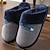 ieftine Șlapi Bărbați &amp; Flip-Flops-Bărbați Papuci &amp; Flip-flops Papuci Casual Casă Catifea Material elastic Cald Anti-Alunecare Albastru Închis Gri Toamnă Iarnă
