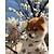 baratos Roupa para Cães-outono e inverno coreano urso creme bonito roupas de quatro patas roupas confortáveis para cães em casa roupas quentes para animais de estimação