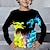 halpa poikien 3d t-paidat-Poikien 3D Kuvitettu Piirretty Lohikäärme T-paita Pitkähihainen 3D-tulostus Kesä Kevät Syksy Urheilu Muoti Katutyyli Polyesteri Lapset 3-12 vuotta ulko- Kausaliteetti Päivittäin Normaali