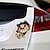 cheap Car Stickers-Winston &amp; Bear 3D Cat Stickers - 2 Pack - Black Cat Wall Decals - Cat Wall Stickers for Bedroom - Fridge - Toilet - Car - Retail Packaged