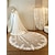 رخيصةأون طرحات الزفاف-طبقة واحدة حافة مزينة بالدانتيل / دانتيل الحجاب الزفاف حجاب الكاتدرائية مع تطريز / زينة / شىء صغير براق 118،11 في (300cm) تول