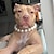 お買い得  犬用首輪＆ハーネス＆リード-instagram ペットの首輪 犬チェーン 犬のリード 犬の首輪 猫の首輪 ペット製品 パール犬の首輪