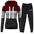 preiswerte Frauen Sportbekleidung-Damen Trainingsanzug Jogginganzug 2 teilig Casual Winter Langarm Atmungsaktiv Schnelltrocknend Feuchtigkeitsableitung Fitnesstraining Laufen Joggen Sportbekleidung Sportkleidung Farbblock Violett