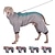 cheap Dog Clothes-Warm close-fitting dog clothing large waterproof pet clothing can be adjusted big and small dog clothing cross-border sales