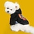 abordables Sudaderas con capucha-Perros Gatos Saco y Capucha Fiesta Gracioso Transpirable Suave Lavable Cómodo Exterior Víspera de Todos los Santos Casual Diario Ropa para perros for Bichón Frisé Pomerania Animal doméstico del beb