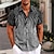 billige grafiske skjorter til mænd-Herre Skjorte 3D Print Aftæpning Sølv Guld udendørs Gade Kort Ærme Trykt mønster Tøj Mode Gade Designer Afslappet