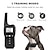 cheap Dog Training &amp; Behavior-Dog training collar three training modes beep vibration electric shock 3600Ft Control Range suitable for large medium and small dogs IPX7 Waterproof comes with a flashlight