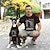 voordelige Huisdier bedrukte T-shirts-hondenshirt bijpassende kleding voor hond en baasje shirtjes voor baasje en huisdier worden apart verkocht
