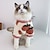 Χαμηλού Κόστους Ρούχα για σκύλους-κατοικίδια χειμερινά ρούχα φθινοπωρινό μικρό κουτάβι σκυλάκι χοντρό και βελούδινο χαριτωμένο μικρό σκυλάκι αρκουδάκι πομερανίας μαριονέτα