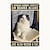 זול שלט פח מתכת-1 יחידה רטרו מתכת שלט פח שלט חתול חמוד שלטי מטבח וינטג&#039; עיצוב קיר, ציור תליית קיר לעיצוב הבית שלט פח מתכת מתכת 20x30cm/8&#039;&#039;x12&#039;&#039;