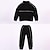 cheap Sets-2 Pieces Sets Kids Boys Tracksuits Outfit Letter Stripe Long Sleeve Zipper Set Sports Daily Fall Winter 7-13 Years White