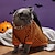 Недорогие Одежда для собак-костюмы для Хэллоуина для кошек, трансформация собак и кошек на Хэллоуин с кошкой, персонализированная и забавная одежда для домашних животных, топ для домашних животных