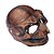 voordelige Halloween Masker en Rekwisieten-Halloween motorfiets schedel masker schedel skelet vizier met verstelbare skelethelmen motorfiets voor jongeren