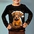 voordelige jongens 3d t-shirts-Jongens 3D Grafisch dier Hond T-shirt Lange mouw 3D-afdrukken Zomer Lente Herfst Sport Modieus Streetwear Polyester Kinderen 3-12 jaar Buiten Casual Dagelijks Normale pasvorm