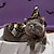 tanie Ubrania dla psów-kot kostiumy na halloween halloween czarownica płaszcz pies pies kot zwierzę domowe zestaw płaszczy strój świąteczny odzież do transformacji