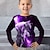 ieftine tricouri 3d pentru băieți-Băieți 3D Animal Lup Tricou Manșon Lung Tipărire 3D Toamnă Iarnă Sport Modă Șic Stradă Poliester Copii 3-12 ani În aer liber Casual Zilnic Fit regulat