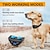 preiswerte Trainingshalsbänder-Hundetraining Anti-Bellen Halsband Schockhalsband Anti-Bark-Gerät Kabellos Hund Multi-Funktional Hunde Katzen Haustiere Wasserdicht Anti Bark Automatisch Wiederaufladbar Sicherheit Nylon Elektronik