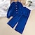 preiswerte Sets-2 Stück kinderkleidung Mädchen Feste Farbe Taste Shirt &amp; Hose einstellen Langarm Modisch Outdoor 7-13 Jahre Frühling Rote Blau Grün