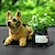 halpa Riipukset ja koristeet-nyökkäys tärisevä koira hartsi simulointi pentu koti auton sisustus koriste koriste lahja