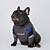 Недорогие Одежда для собак-Kirky Schnauzer fa dou pet модный бренд популярный свитер для собак Забавный осенне-зимний вязаный пуловер одежда для собак