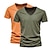 ieftine Tricouri casual pentru bărbați-Bărbați Tricou Tee Top Simplu În V Stradă Vacanță Mânecă scurtă Îmbrăcăminte 2 buc Modă Designer De Bază