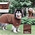 billiga bärbar badrock-husdjurshandduk absorberande snabbtorkande stor hund badrock grön pet it wrap midja badrock