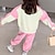 preiswerte Sets-2 Stück kinderkleidung Mädchen Farbblock Tasche Kapuzenpulli &amp; Hose einstellen Langarm Aktiv Ausbildung 7-13 Jahre Herbst Gelb Rosa
