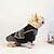 baratos Roupas e Acessórios para Cães-Cachorros Gatos Moletom Moda Casual Inverno Respirável Macio Lavável Confortável Ao ar livre Casual / Diário Roupas para cães for Bichon Frise Pomerânia Animais de Pequeno Porte Borboleta Small