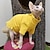 halpa Koiran vaatteet-karvaton kissan vaatteet sfinksi syksy/talvi lämpöpohjavilla devon konis kihara syys/talvivaatteet