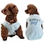 halpa Koiran vaatteet-koiran t-paita lemmikkivaatteet koiran vaatteet kevät ja kesä lemmikkikoiran vaatteet liivi t-paita kissan vaatteet