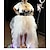 billige Historiske kostymer og vintagekostymer-Retro / vintage Punk og gotisk Victoriansk Cosplay kostyme Tutu Tyllskjørt Dame Halloween Fest Skjørte