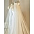 رخيصةأون طرحات الزفاف-طبقة واحدة حافة مزينة بالدانتيل / دانتيل الحجاب الزفاف حجاب الكاتدرائية مع تطريز / زينة / شىء صغير براق 118،11 في (300cm) تول