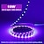 billige LED Strip Lamper-halloween lilla stripe lys led uv svart lys stripe lilla led lys stripe usb grensesnitt med bryter eller batteriboks smd2835 380-400nm uv led ikke-vanntett svart lys lampe