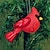 voordelige Evenement- en feestbenodigdheden-vilten vogelornament, 3d-simulatie vogelgedenkteken handwerk ornamenten handgemaakte pluche boom wanddecoraties rode vogel geschenken hangende ornamenten