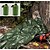 Недорогие аксессуары для пикника и кемпинга-Легкий аварийный спальный мешок, спальный мешок для выживания, аварийное одеяло, спасательное снаряжение для походов и кемпинга на открытом воздухе