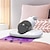billige Støvsugere-ultraviolet støvmide fjernelse instrument støvsuger trådløs håndholdt støvsuger til madras sofa aftageligt filter husholdning