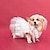 voordelige Hondenkleding-hond trouwjurk hoofdtooi jurk prinses jurk trouwjurk huisdier bladerdeeg jurk kat bruiloft corgi foto kleding