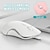 economico Mouse-aumenta la tua produttività con un mouse con ricarica wireless per laptop e notebook