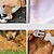 Недорогие Одежда для собак-Защита коленей домашних животных Защита локтей собаки Одежда Защита ног Золотистые волосы Дрова Устойчивость к износу для собак Устойчивость к грязи и пеплу Защитный чехол для больших собак среднего