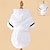 cheap Dog Clothes-New Popular Pet Nightgown Dog Clothing Fadou Bixiong Pomeranian Dog Clothing