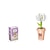 Χαμηλού Κόστους Τουβλάκια-δομικό στοιχείο κρέας λουλούδι τυφλό κουτί προσομοίωση λουλουδιών σε γλάστρα διακόσμηση επιτραπέζιου συναρμολόγηση μπουτίκ έπαθλο δώρο παιχνίδι