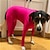 cheap Dog Clothes-Medium And Large Size Dog Bottoms Four Legged Tight Fitting Clothes Pet Dogs Cats Four Legged Clothes Household Clothing Products