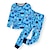 voordelige 3D-pyjama voor jongens-Jongens 3D Heelal Pyjamaset Lange mouw 3D-afdrukken Herfst Winter Actief Stoer Dagelijks Polyester Kinderen 3-12 jaar Strakke ronde hals Huis Causaal Voor Binnen Normale pasvorm