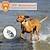 levne Trénink psů-dálkové ovládání trenér psů automatické zastavení štěkání elektrický obojek proti štěkání zařízení pro domácí mazlíčky ultrazvukový ovladač pro psy