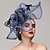 billige Fascinators-blomster fjer net kentucky derby hat fascinators hovedstykke med fjer blomster 1 stk hestevæddeløb dame dag melbourne kop hovedstykke