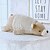 رخيصةأون لعب القطط-دمية الدب القطبي لعبة قطيفة من القطن وسادة رمي هدية للفتيات لعبة أطفال