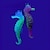 halpa Akvaarion koristeet ja sorat-Akvaario Akvaario Sisustus Pallomalja Merihevonen Satunnainen väri Vedenkestävä Mini Itsestään valaiseva pimeässä Silikoni 1 10*4*1 cm