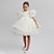 billiga Festklänningar-Barn Flickor Festklänning Ensfärgat Grafisk Kortärmad Prestanda Bröllop Mode Förtjusande Dagligen Bomull Festklänning Vår Höst 2-8 år Vit Elfenben Rodnande Rosa