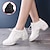 cheap Dance Sneakers-Women&#039;s Dance Sneakers Practice Trainning Dance Shoes Performance Outdoor HipHop Dancesport Shoes Professional Split Sole Thick Heel Pearl White Bright Black Black